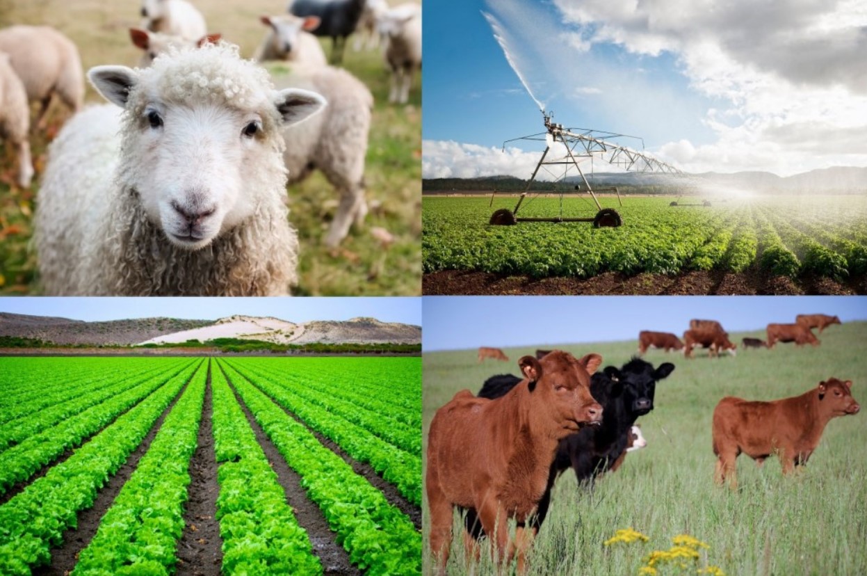 JCCM agricultura
