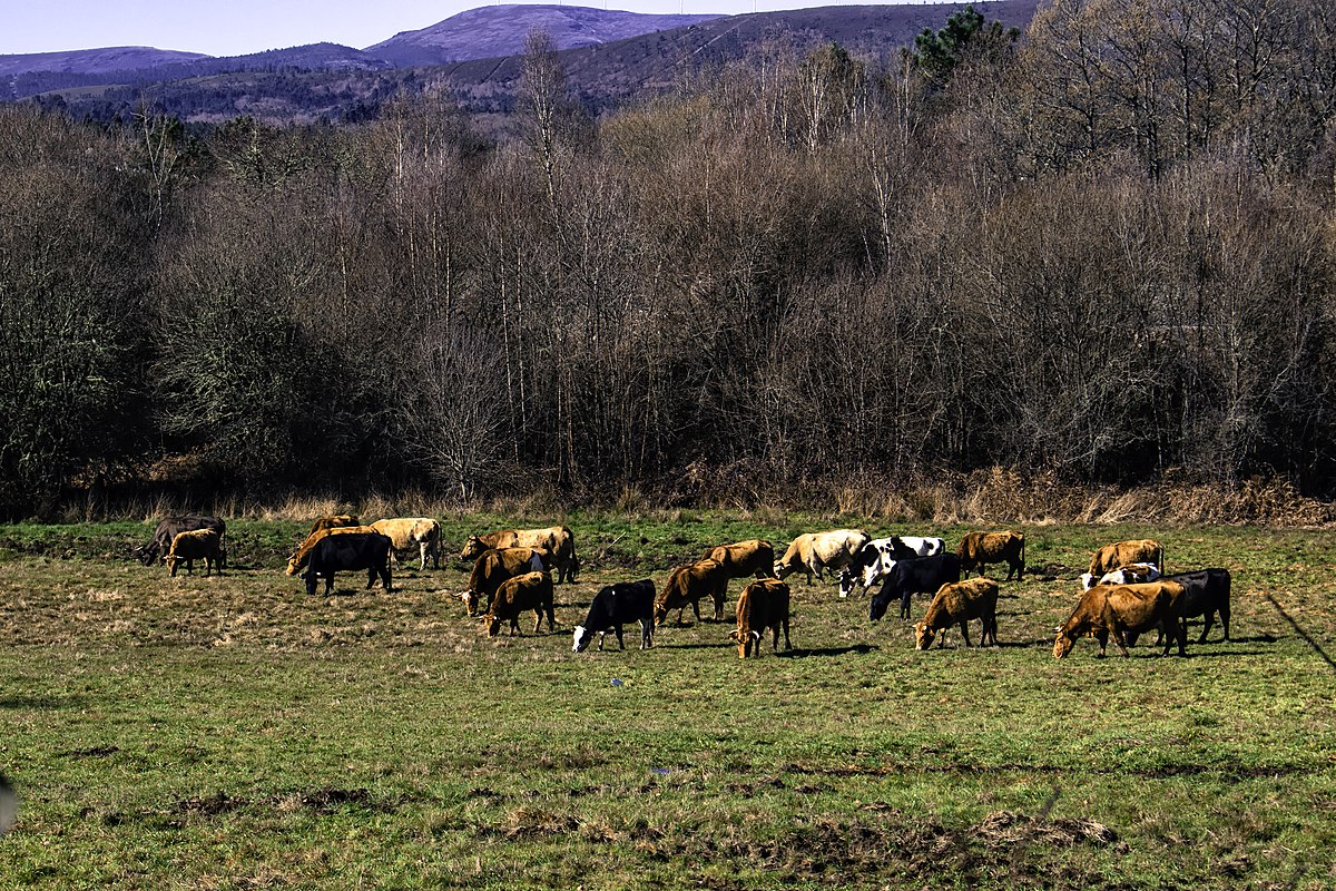 ganadería ecológica